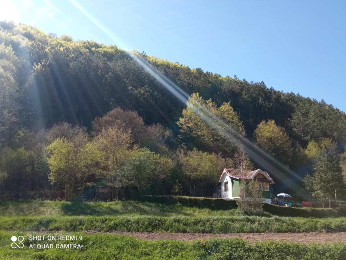 Vikendica Vrelo Pirot Esterno foto